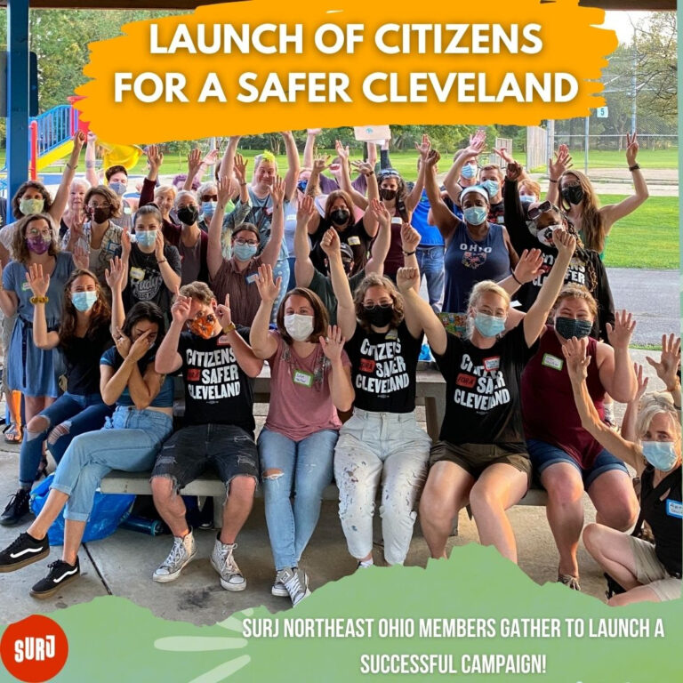 image show a large group of people wearing black tshirts at a park. They are raising their fists. The graphic reads "launch of citizens for a safer Cleveland."